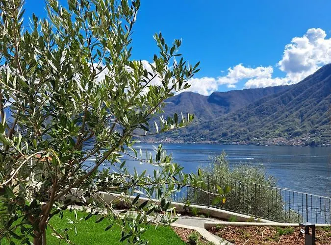 Clementina Boutique Ξενοδοχείο 4*