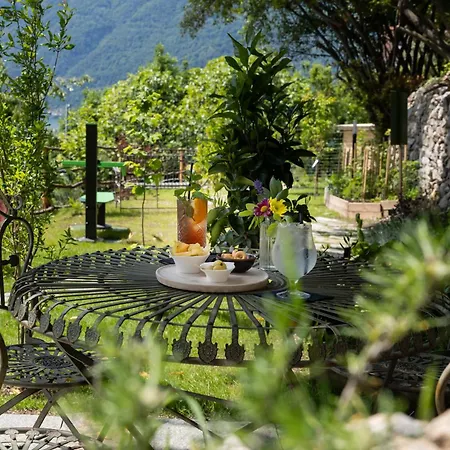 Hotel Clementina Boutique Colonno