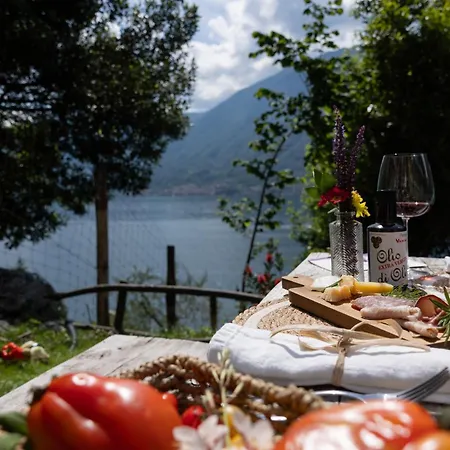 מלון Clementina Boutique